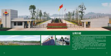 宜賓畫冊設(shè)計(jì)與農(nóng)產(chǎn)品包裝的藝術(shù)融合 從設(shè)計(jì)效果圖看品牌升級